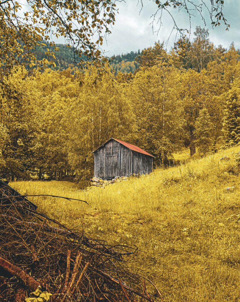 How Do I Build A Basic Outdoor Shed?